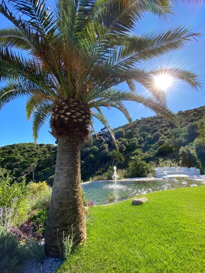 Ibiza Style Barcelona Luxury Villa Бадалона Екстериор снимка